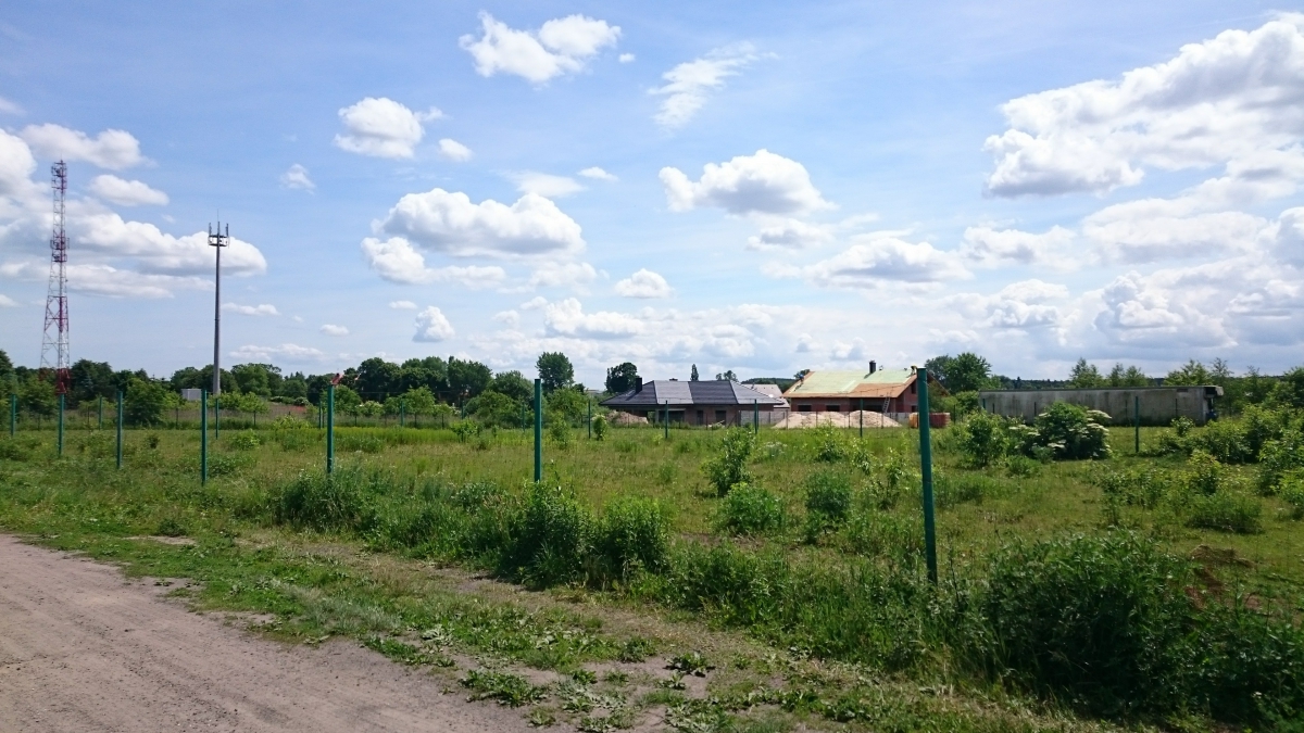 Zdjęcie do wpisu: Julka 3 Odbicie Lustrzane