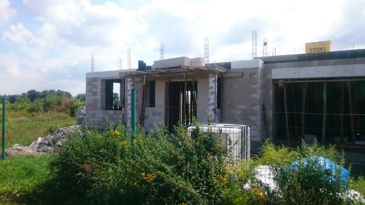 Zdjęcie do wpisu: Julka 3 Odbicie Lustrzane